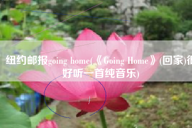 纽约邮报going home(《Going Home》(回家)很好听一首纯音乐)