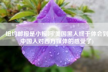 纽约邮报是小报吗(美国黑人终于体会到中国人对西方媒体的感受了)