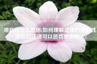 滞后性什么意思(如何理解法律的滞后性，滞后的法律可以惩罚更多的人)