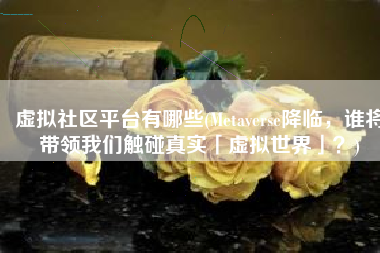 虚拟社区平台有哪些(Metaverse降临，谁将带领我们触碰真实「虚拟世界」？)