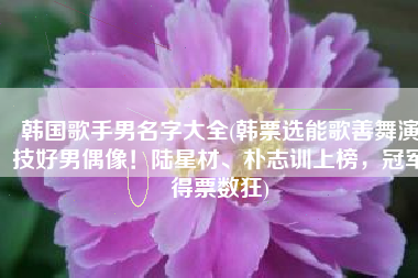 韩国歌手男名字大全(韩票选能歌善舞演技好男偶像！陆星材、朴志训上榜，冠军得票数狂)