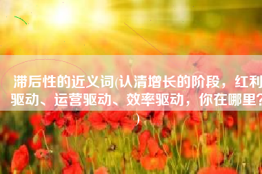 滞后性的近义词(认清增长的阶段，红利驱动、运营驱动、效率驱动，你在哪里？)