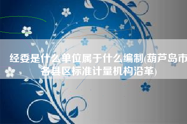 经委是什么单位属于什么编制(葫芦岛市各县区标准计量机构沿革)