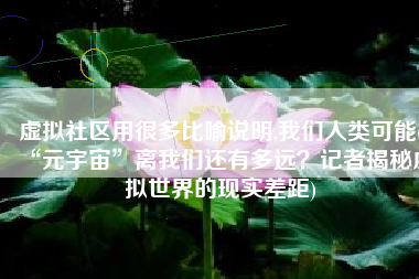 虚拟社区用很多比喻说明,我们人类可能(“元宇宙”离我们还有多远？记者揭秘虚拟世界的现实差距)