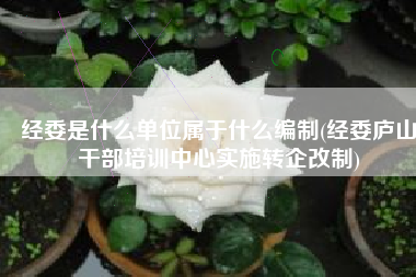 经委是什么单位属于什么编制(经委庐山干部培训中心实施转企改制)