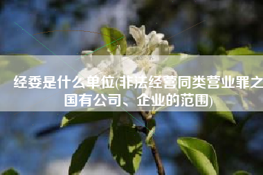 经委是什么单位(非法经营同类营业罪之国有公司、企业的范围)