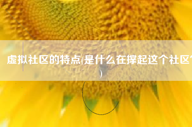 虚拟社区的特点(是什么在撑起这个社区？)