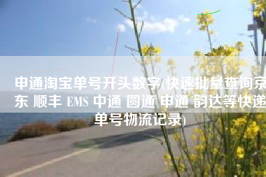 申通淘宝单号开头数字(快速批量查询京东 顺丰 EMS 中通 圆通 申通 韵达等快递单号物流记录)