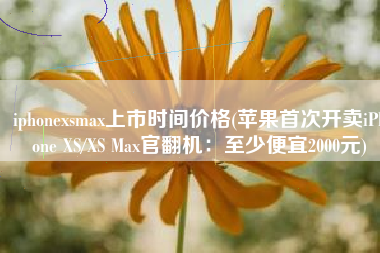 iphonexsmax上市时间价格(苹果首次开卖iPhone XS/XS Max官翻机：至少便宜2000元)
