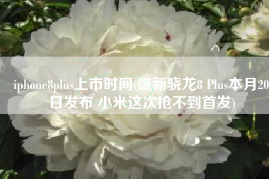 iphone8plus上市时间(曝新骁龙8 Plus本月20日发布 小米这次抢不到首发)