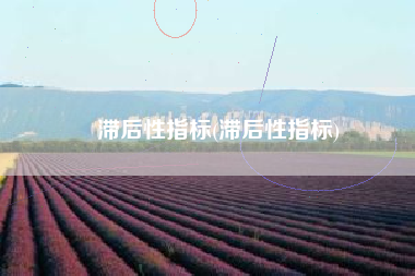 滞后性指标(滞后性指标)