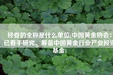 经委的全称是什么单位(中国黄金协会：已着手研究、筹备中国黄金行业产业投资基金)