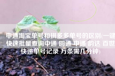 申通淘宝单号和拼多多单号的区别(一键快速批量查询中通 圆通 申通 韵达 百世快递单号记录 万条需几分钟)