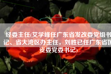 经委主任(艾学峰任广东省发改委党组书记、省大湾区办主任，刘胜已任广东省国资委党委书记)