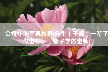 会爆炸的苹果教案(先生丨于漪：一辈子做老师，一辈子学做老师)