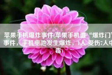 苹果手机爆炸事件(苹果手机遭“爆炸门”事件，手机电池发生爆炸，1人 受伤7人中毒)