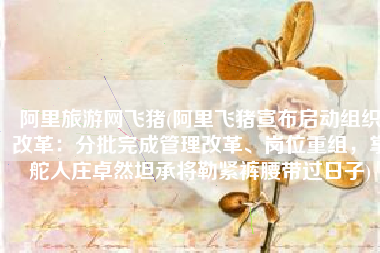 阿里旅游网飞猪(阿里飞猪宣布启动组织改革：分批完成管理改革、岗位重组，掌舵人庄卓然坦承将勒紧裤腰带过日子)