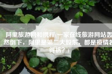 阿里旅游网和携程(一家在线旅游网站轰然倒下，阿里是第二大股东，都是疫情若得祸？)