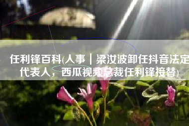 任利锋百科(人事｜梁汝波卸任抖音法定代表人，西瓜视频总裁任利锋接替)