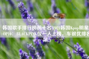 韩国歌手排行榜前十名(2021韩国Kpop明星TOP10：BLACKPINK仅一人上榜，车银优排名第2)
