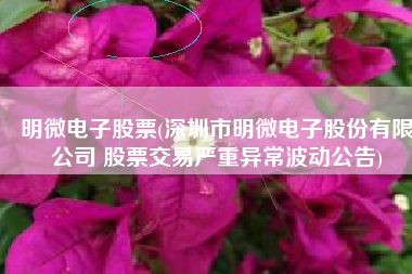 明微电子股票(深圳市明微电子股份有限公司 股票交易严重异常波动公告)
