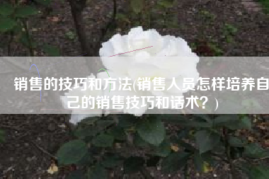 销售的技巧和方法(销售人员怎样培养自己的销售技巧和话术？)