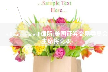 sullivan cromwell律所(美国证券交易委员会主席将离职)