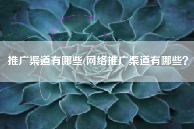 推广渠道有哪些(网络推广渠道有哪些？)