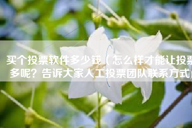 买个投票软件多少钱（怎么样才能让投票多呢？告诉大家人工投票团队联系方式)
