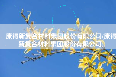 康得新复合材料集团股份有限公司(康得新复合材料集团股份有限公司)