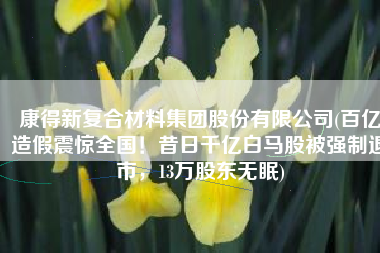 康得新复合材料集团股份有限公司(百亿造假震惊全国！昔日千亿白马股被强制退市，13万股东无眠)