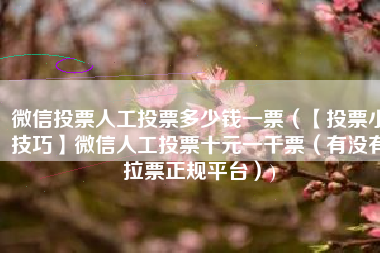 微信投票人工投票多少钱一票(【投票小技巧】微信人工投票十元一千票(有没有拉票正规平台))