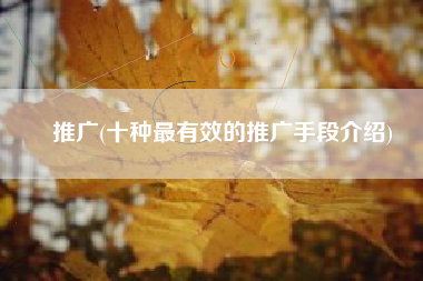 推广(十种最有效的推广手段介绍)