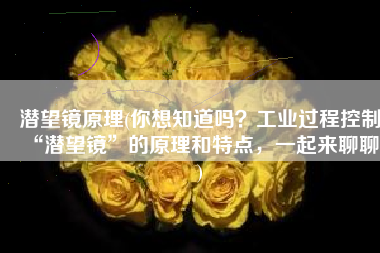 潜望镜原理(你想知道吗？工业过程控制“潜望镜”的原理和特点，一起来聊聊！)