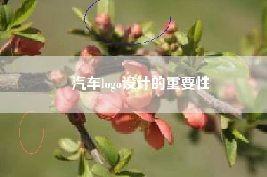 汽车logo设计的重要性