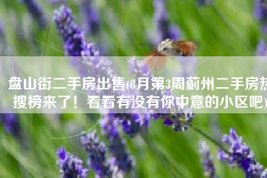 盘山街二手房出售(8月第3周蓟州二手房热搜榜来了！看看有没有你中意的小区吧)