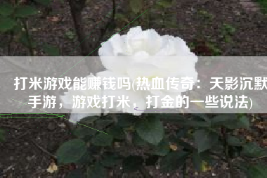 打米游戏能赚钱吗(热血传奇：天影沉默手游，游戏打米，打金的一些说法)