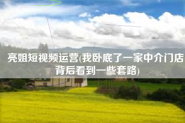 亮姐短视频运营(我卧底了一家中介门店，背后看到一些套路)