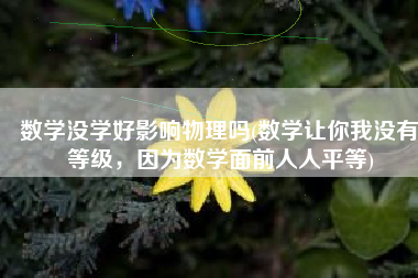 数学没学好影响物理吗(数学让你我没有等级，因为数学面前人人平等)