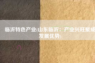 临沂特色产业(山东临沂：产业兴旺聚成发展优势)