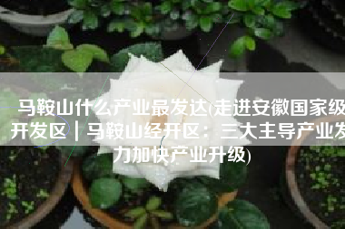 马鞍山什么产业最发达(走进安徽国家级开发区｜马鞍山经开区：三大主导产业发力加快产业升级)