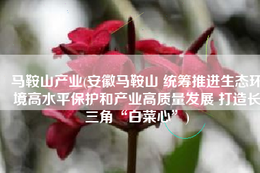 马鞍山产业(安徽马鞍山 统筹推进生态环境高水平保护和产业高质量发展 打造长三角“白菜心”)