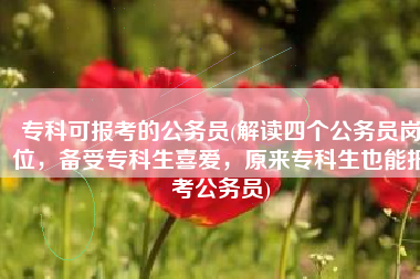 专科可报考的公务员(解读四个公务员岗位，备受专科生喜爱，原来专科生也能报考公务员)