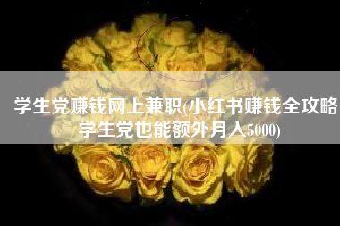 学生党赚钱网上兼职(小红书赚钱全攻略，学生党也能额外月入5000)