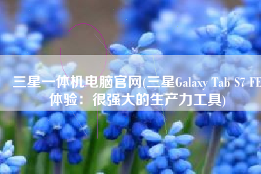 三星一体机电脑官网(三星Galaxy Tab S7 FE体验：很强大的生产力工具)