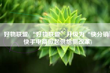 好物联盟(“好物联盟”升级为“快分销”快手电商掀起供给侧改革)