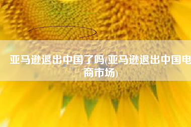 亚马逊退出中国了吗(亚马逊退出中国电商市场)