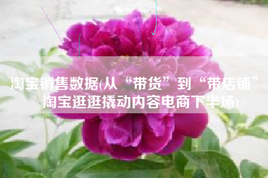 淘宝销售数据(从“带货”到“带店铺”，淘宝逛逛撬动内容电商下半场)