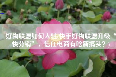 好物联盟如何入驻(快手好物联盟升级“快分销”，信任电商有啥新搞头？)