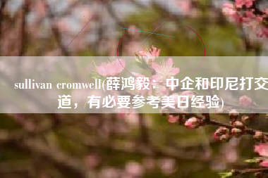 sullivan cromwell(薛鸿毅：中企和印尼打交道，有必要参考美日经验)